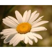 Kim Reed's photo