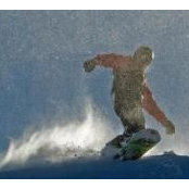 Brett Davis's photo