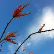 Molly May's photo