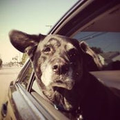 Rita Desjardins's photo