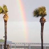 Shaun Irwin's photo