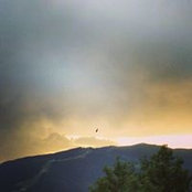 Ariane Vietz's photo