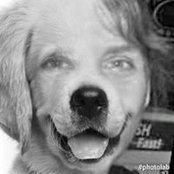 Beth Petermans foto