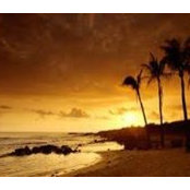 Gypsy Taylor's photo