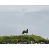 Elaine Hurst's photo