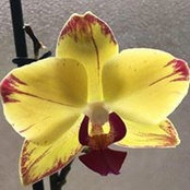 Vanessa Eckenrode's photo