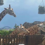 Carolyn Stagg's photo