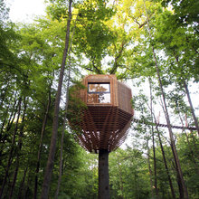 Treehouse