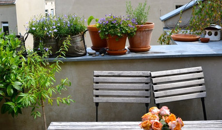 Üppig wie Wildblumenwiesen: Quereinsteigerin macht Berlins Dächer schön