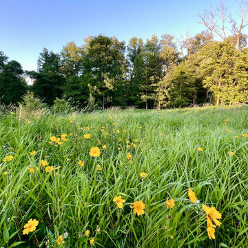 A Natural Tapestry