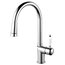 Extendable Classic Kitchen Mixer Tap, High Gloss Stainless Steel