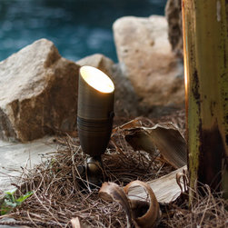 Johns Creek, GA Backyard Lighting Project Up Light - Outdoor Flood And Spot Lights