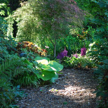 Landscape Ideas