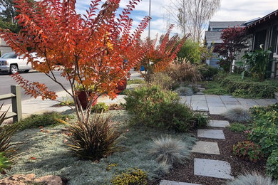 This is an example of a mid-sized mediterranean drought-tolerant and full sun front yard stone garden path in San Francisco for fall.