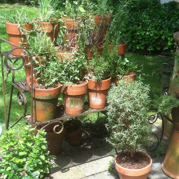 Vegetable & Herb Gardens