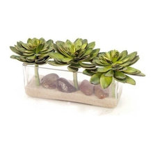 Wish List