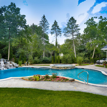 Naperville, IL Freeform Swimming Pool with Raised Hot Tub