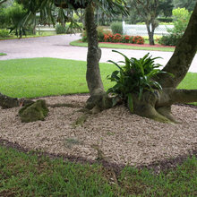 NEW HOUSE LANDSCAPING