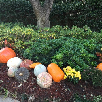 Fall