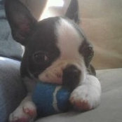 Samantha Leibold's photo