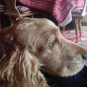 Lilli Gialdini's photo