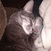 Betsy Hemeryck's photo