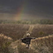 SAL IK's photo