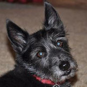 Dianna Stennett's photo