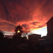 Morgan Le Borgne's photo
