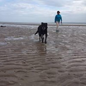 Mary Summers's photo