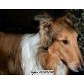 Brian Adee's photo