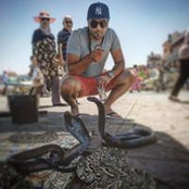 Roy Shamrizs foto