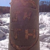 Terri Hofstrom's photo