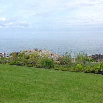 Marginal Way Garden