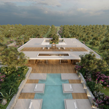 OLIVE YARD VILLA |UNA VILLA TRA GLI ULIVI - 900 M2