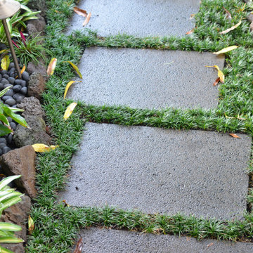 Lush Plants & Stepping Stones