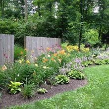 back yard
