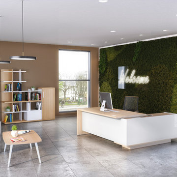Office Collections