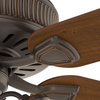 Casablanca 54" Ainsworth Gallery 3 Light Onyx Bengal Ceiling Fan With Light