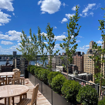 Upper West Side Rooftop Garden Common Space