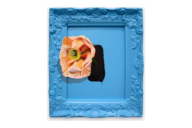 Lady Spring (Available)
