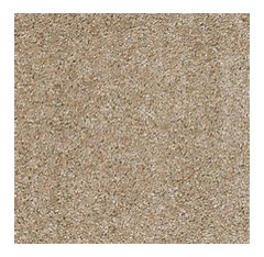 Carpet And Paint Then Maybe Benjamin Moore Capri Coast