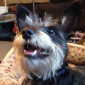 Amy Burgess's photo