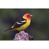 Linda Barber's photo