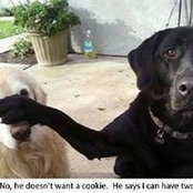 Victoria Tryban's photo
