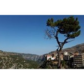 Nidal Chidiac's photo