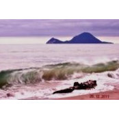 Cecelia Pakinga's photo