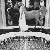 Sue Fulhams foto