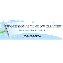 Professional Window Cleaners