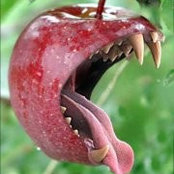 Raili Hein's photo